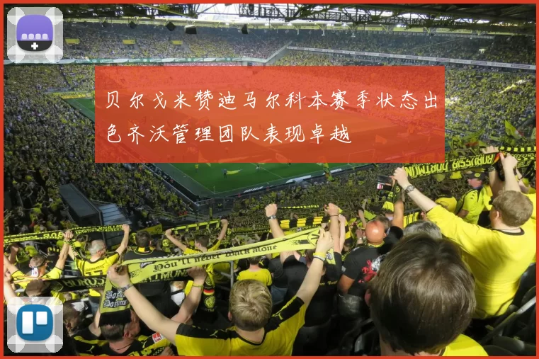 贝尔戈米赞迪马尔科本赛季状态出色齐沃管理团队表现卓越