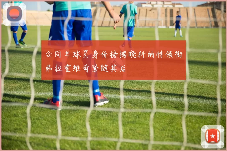 合同年球员身价榜揭晓科纳特领衔弗拉霍维奇紧随其后